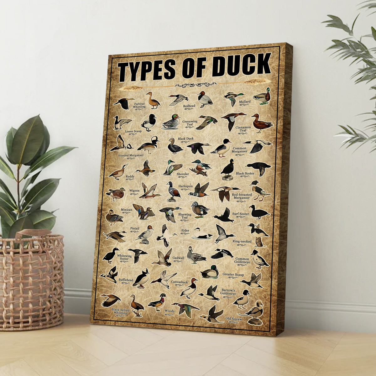 Types of Duck Canvas – Educational Waterfowl Chart Wall Art - Hunting Lodge or Nature Decor