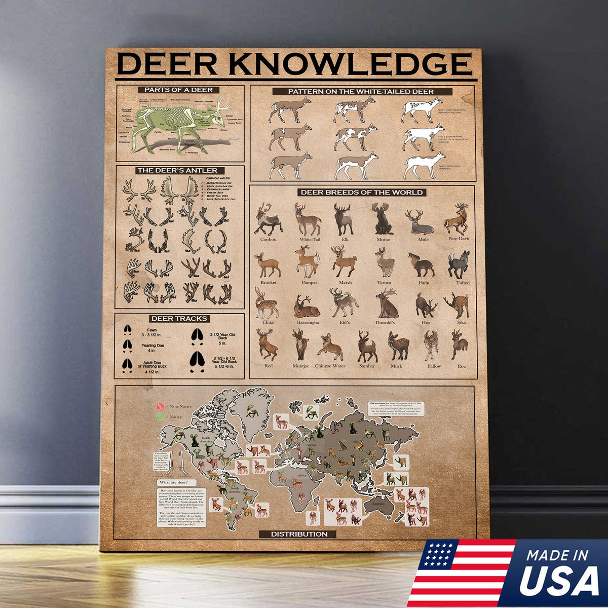 Deer Knowledge Canvas – Anatomy, Antlers, Tracks & Breeds Educational Wall Art