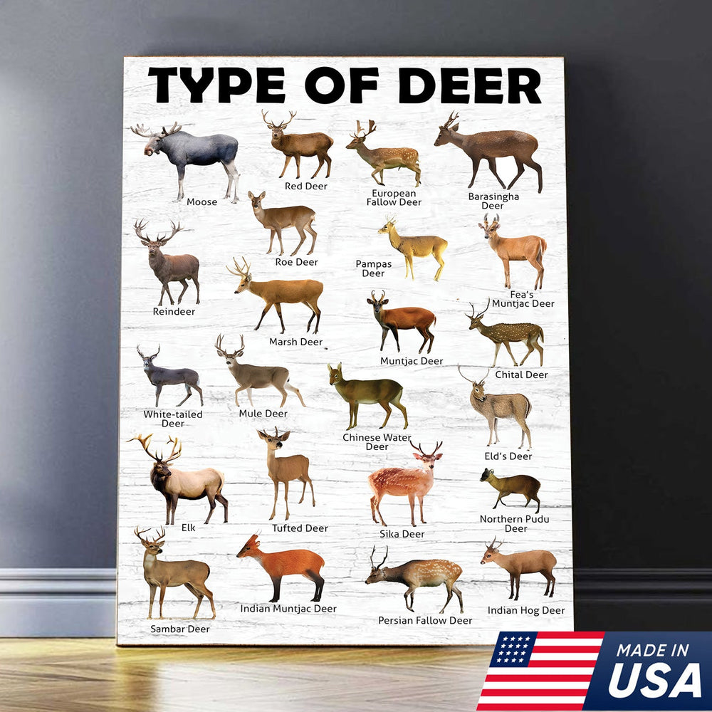 Deer Species Wall Art - Wildlife Educational Canvas - Hunting Lodge Decoration