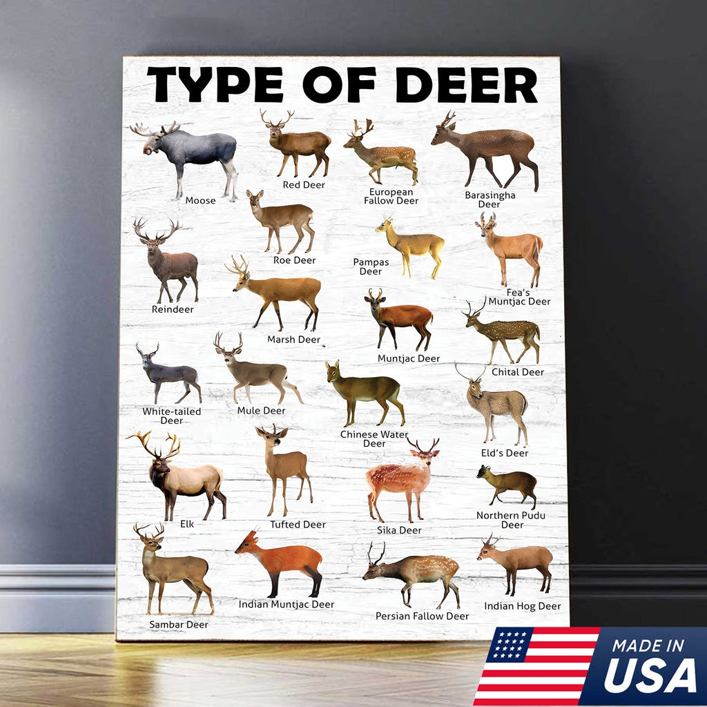 Deer Species Wall Art - Wildlife Educational Canvas - Hunting Lodge Decoration