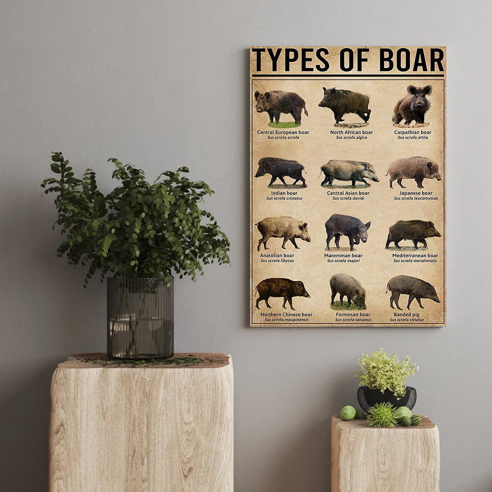 Types of Boar Hunting Canvas Wall Art – Wild Hog Species Chart Print for Hunters
