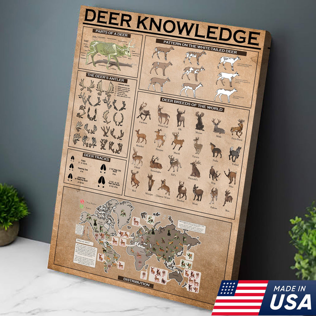 Deer Knowledge Canvas – Anatomy, Antlers, Tracks & Breeds Educational Wall Art