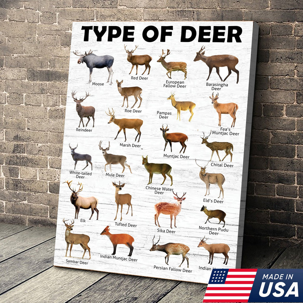 Deer Species Wall Art - Wildlife Educational Canvas - Hunting Lodge Decoration