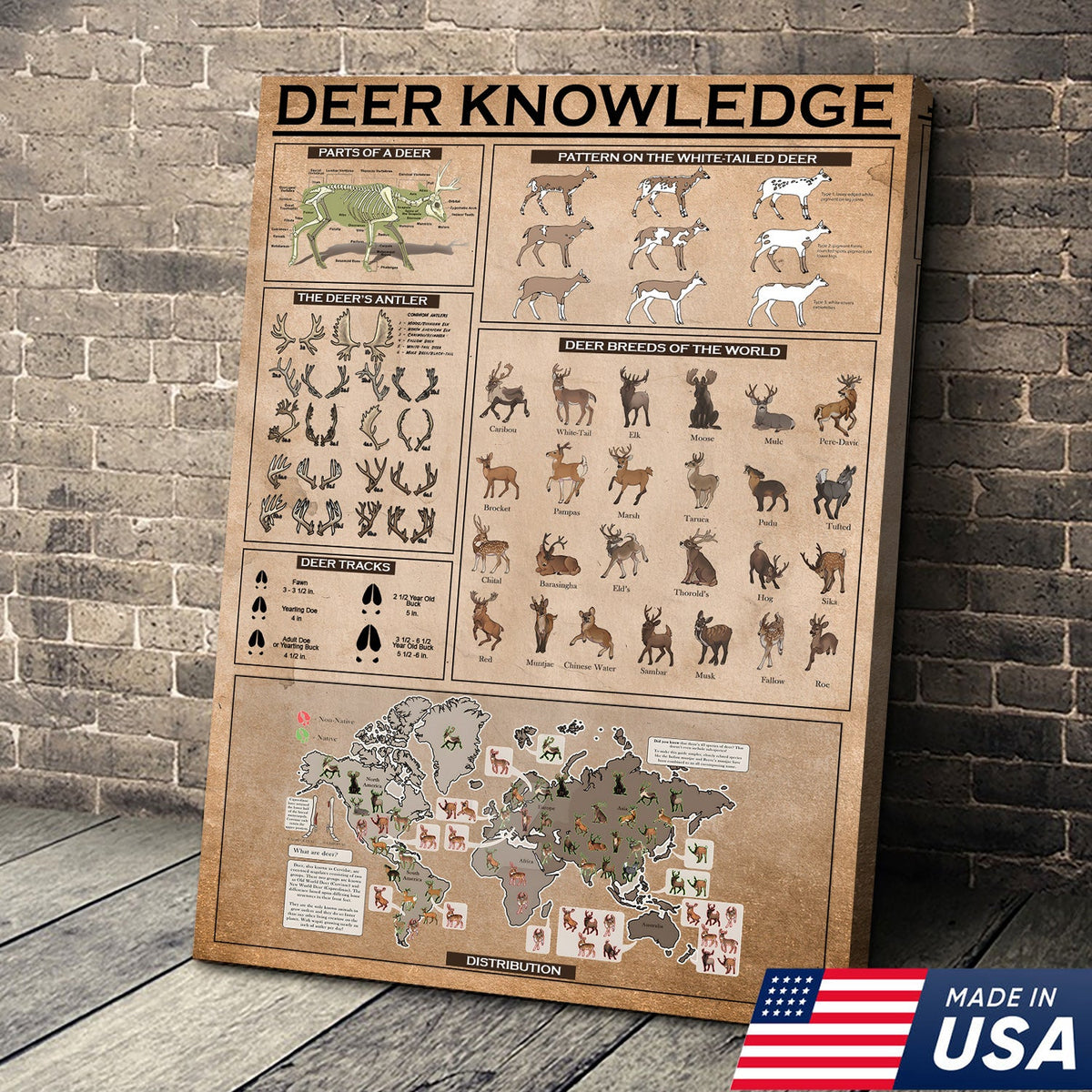 Deer Knowledge Canvas – Anatomy, Antlers, Tracks & Breeds Educational Wall Art