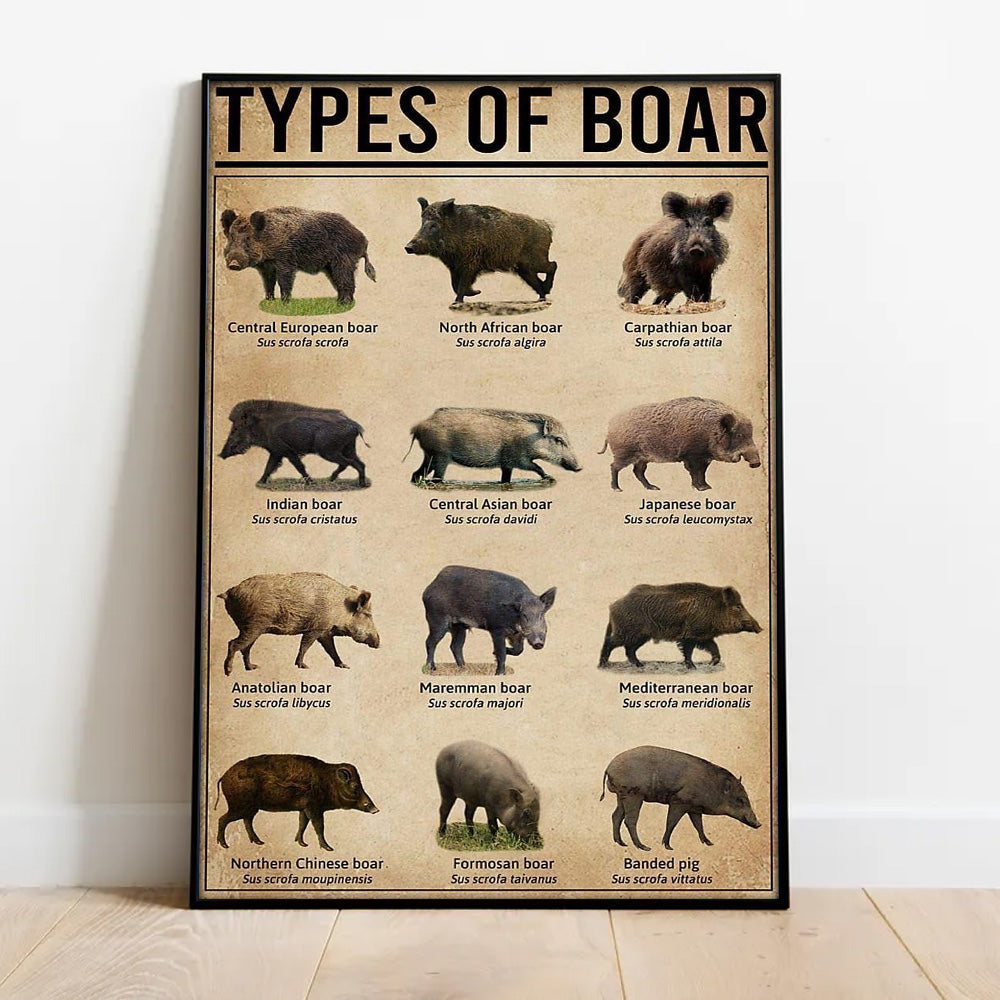 Types of Boar Hunting Canvas Wall Art – Wild Hog Species Chart Print for Hunters