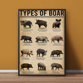 Types of Boar Hunting Canvas Wall Art – Wild Hog Species Chart Print for Hunters