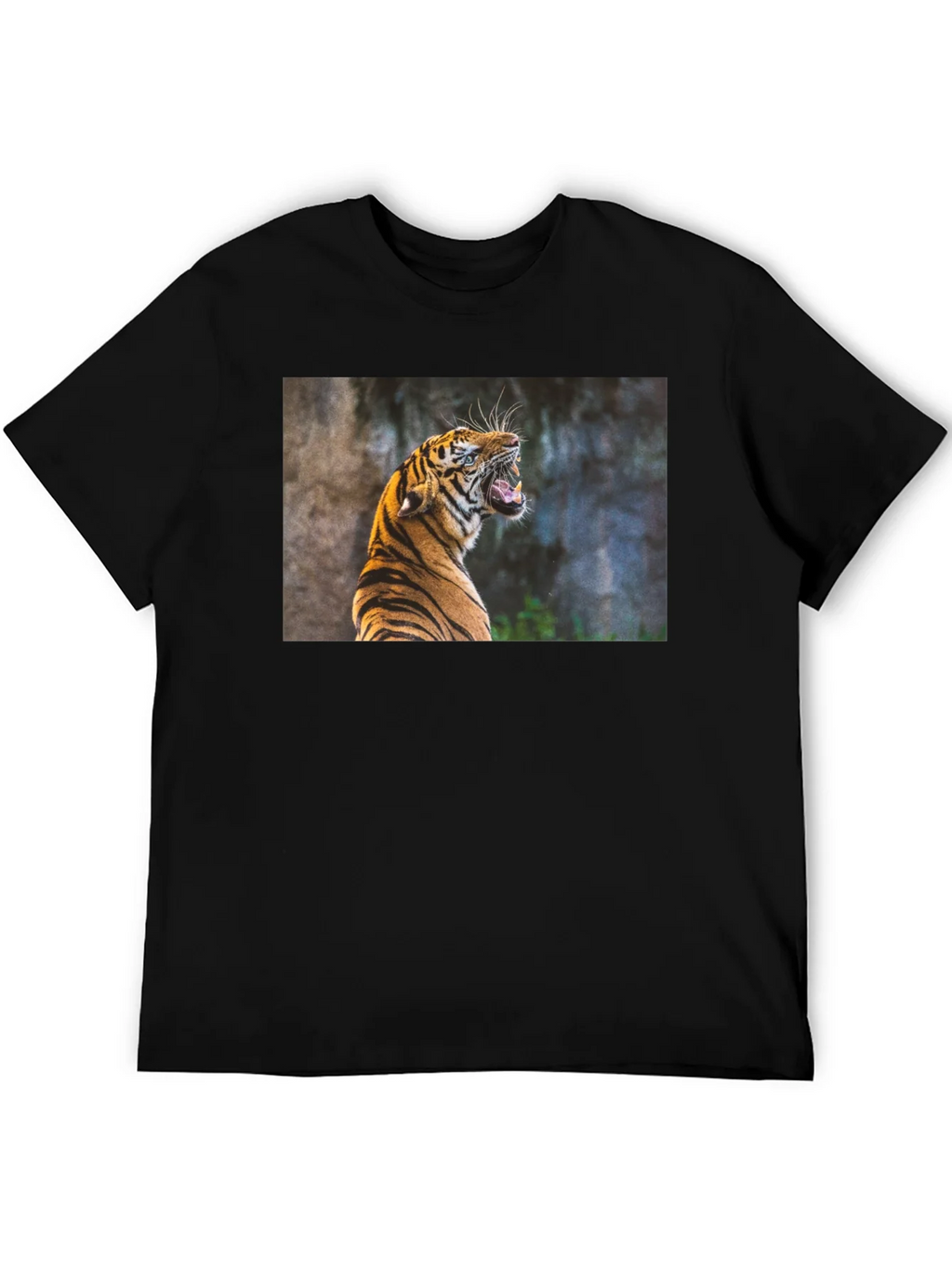 Tiger Graphic Tee - Black product image 5