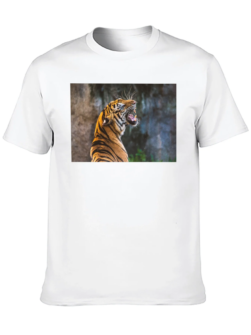 Tiger Graphic Tee - Black product image 9