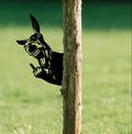 Funny Donkey Metal Sign WITH LED/WITHOUT LED - Hilarious Farm Yard Decor